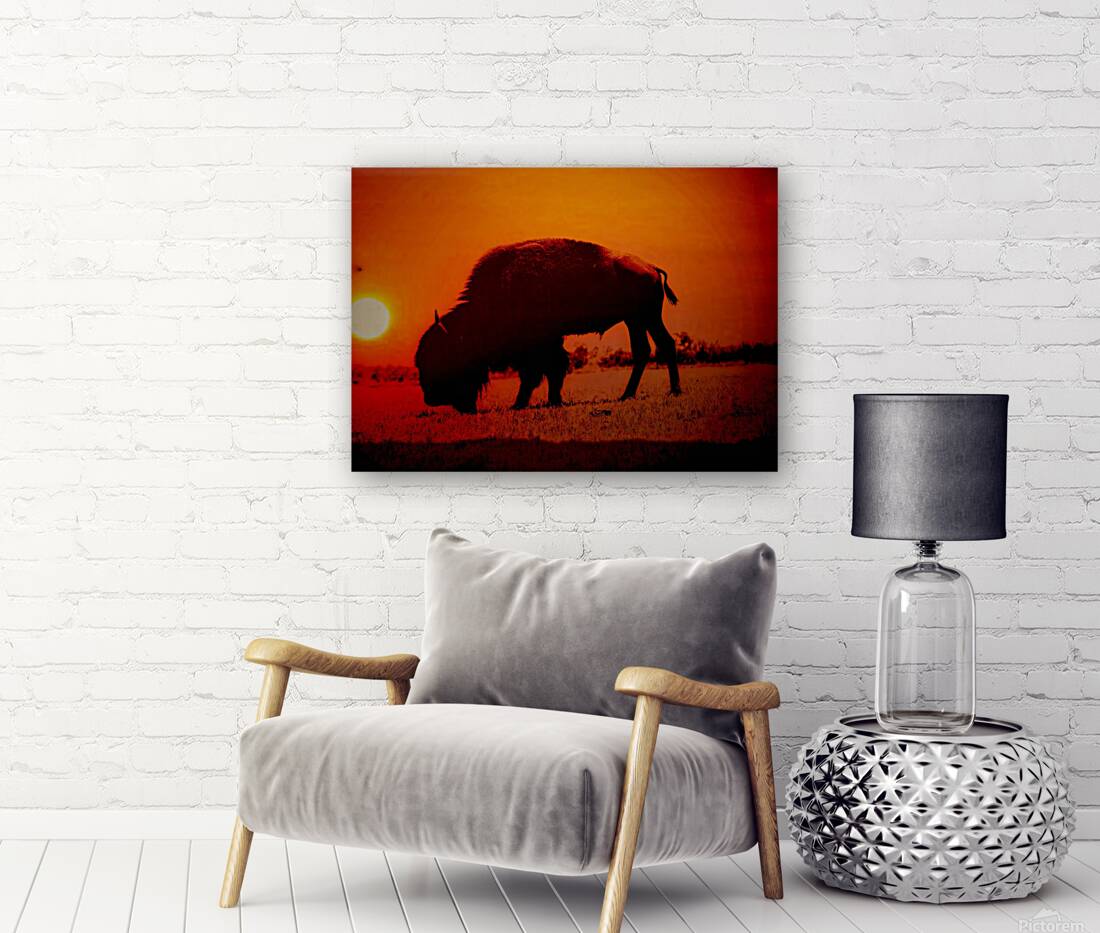 Orange Bison Sunset Reproduction