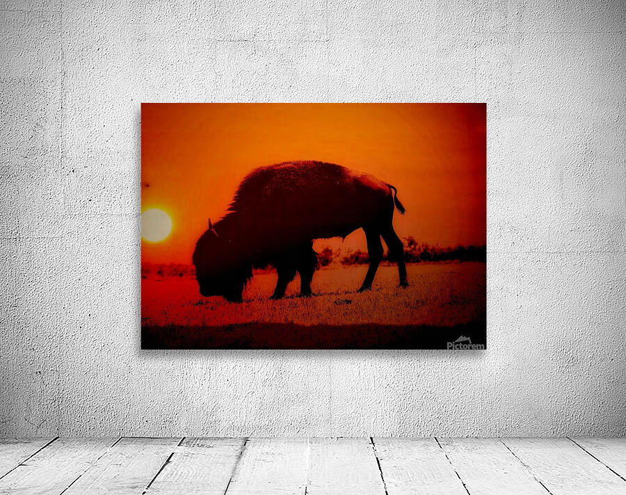 Orange Bison Sunset Wall Preview