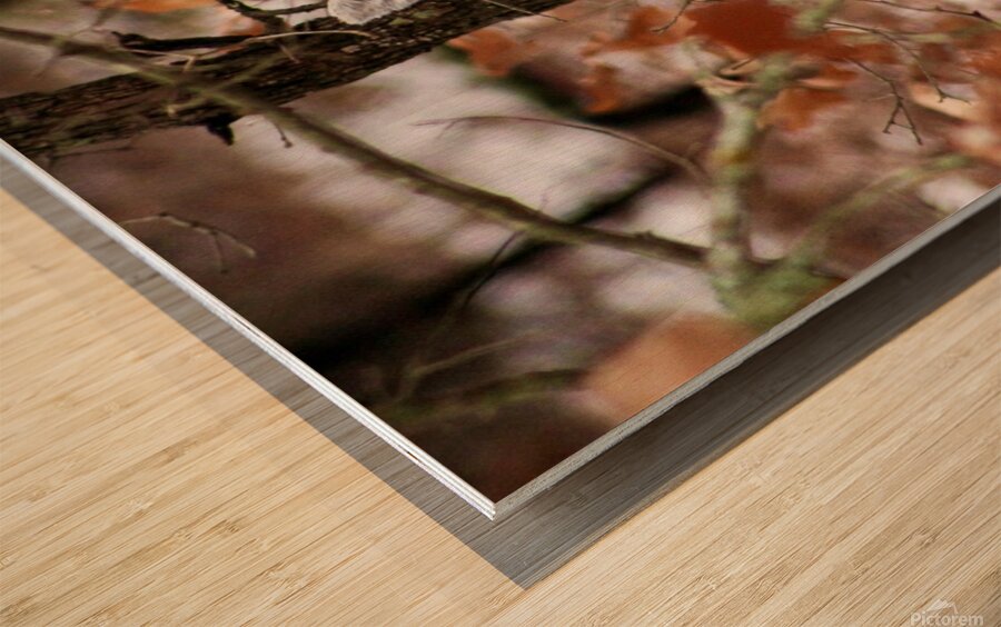 Winter doe Wood print