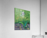 Iris[d] Acrylic Print
