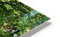 A garden path in summer HD Metal print