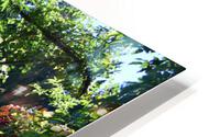 A garden path HD Metal print