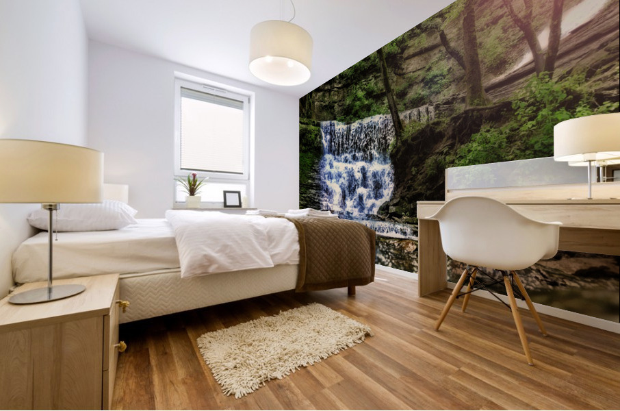 Jackson Falls Mural print