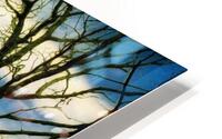 ReeceChapelMauryCounty HD Metal print
