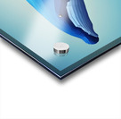 Baleine bleue  Acrylic print