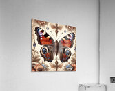 papillon  Acrylic Print