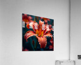 Flux Dev Create a collection of highresolution 4K Acrylic Print