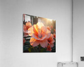 Flux Dev Create a series of highly detailed ultra Acrylic Print