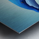 Baleine bleue  Metal print