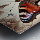 papillon  Metal print