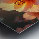 Flux Dev Create a series of highly detailed ultra Metal print