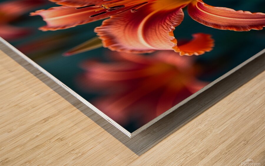 Flux Dev Create a collection of highresolution 4K Wood print