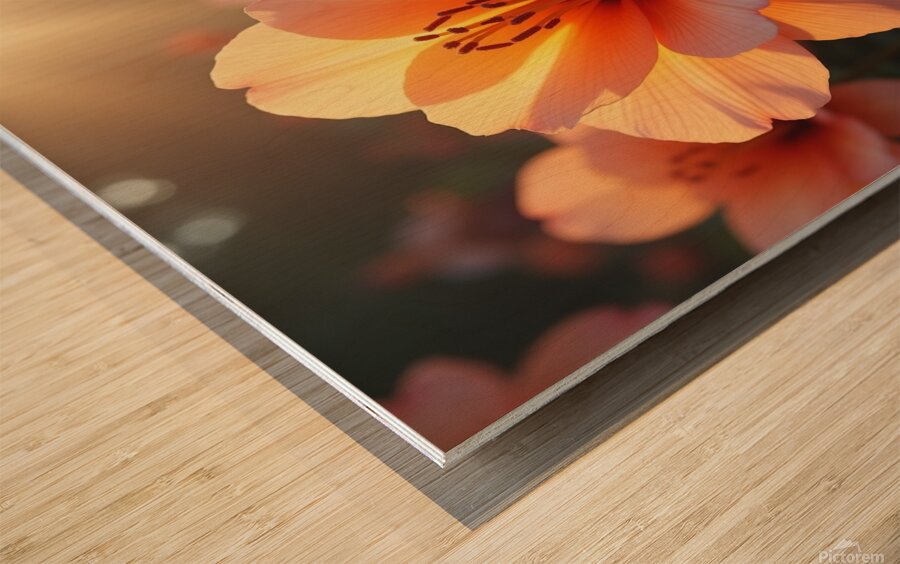 Flux Dev Create a series of highly detailed ultra Wood print