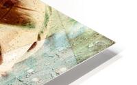 Ceelia HD Metal print