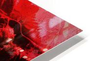 Eves Red HD Metal print