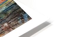 Shared Silence HD Metal print