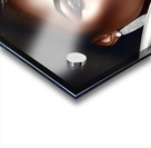 Rose of Elegance 16 Acrylic print