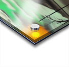 Nature s Embrace 3 Acrylic print