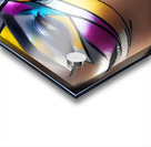 The World of Face Art 26 Acrylic print