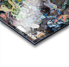 Distortions 11 Acrylic print