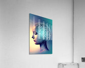 The Art of the Mind 73 Acrylic Print