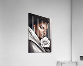 Rose of Elegance 16 Acrylic Print