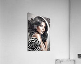 Rose of Elegance 10 Acrylic Print