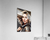 Stylish and Chic 24 Acrylic Print