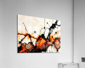 Flowing Colors 18 Acrylic Print