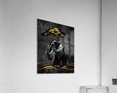 Stylized Art 113 Acrylic Print