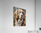 Dog portrait 2 Acrylic Print