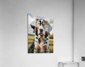 Dog portrait 3 Acrylic Print