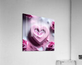 Sugar heart Acrylic Print