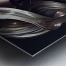 Rose of Elegance 14 Metal print