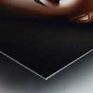 Rose of Elegance 16 Metal print