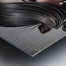 Rose of Elegance 10 Metal print