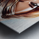 Stylish and Chic 73 Metal print