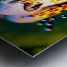 The Hunt Begins 5 Metal print