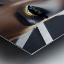 Makeup 4 Metal print