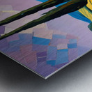 Lavender field 3 Metal print