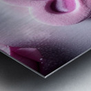 Sugar heart Metal print