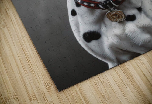 The Digital Dog Portrait 11 Esmonbijouart puzzle
