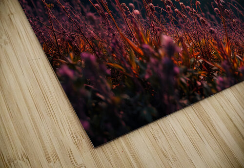 Nature 7 Esmonbijouart puzzle