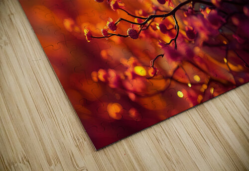Nature 8 Esmonbijouart puzzle