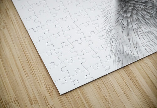 Duckling 6 Esmonbijouart puzzle