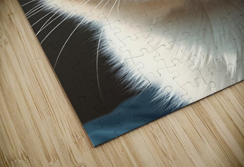 Cat s Stare 2 Esmonbijouart puzzle