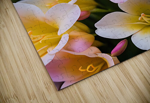 Fressia 4 Esmonbijouart puzzle