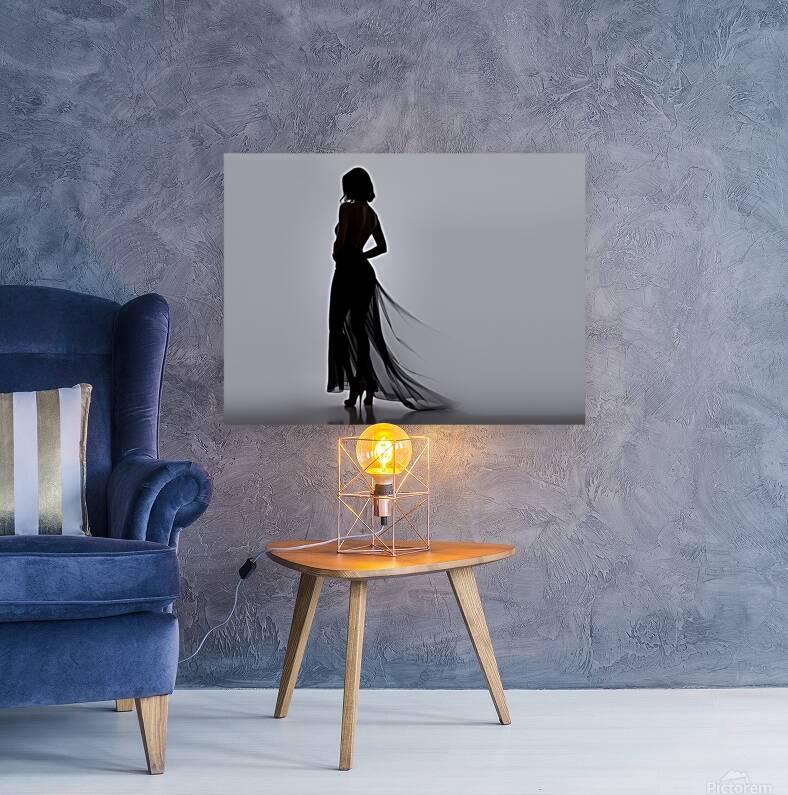 Silhouette 4 Reproduction
