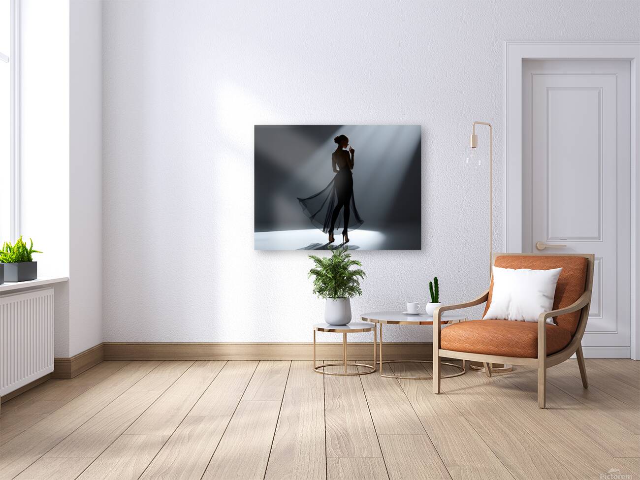 Silhouette 10 Reproduction