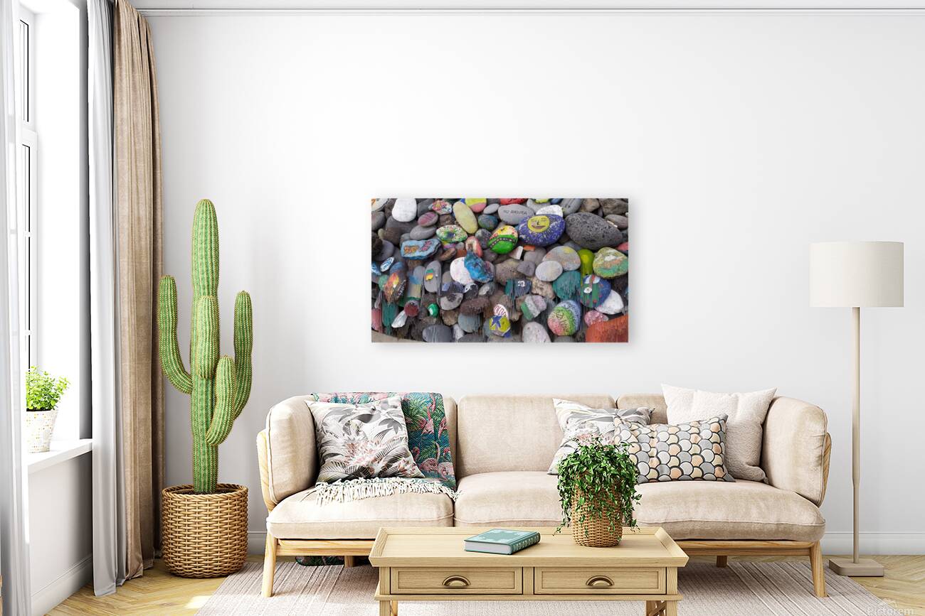 Distortions 27 Reproduction